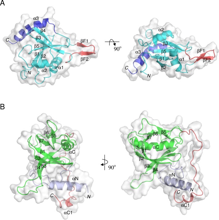 FIGURE 2: