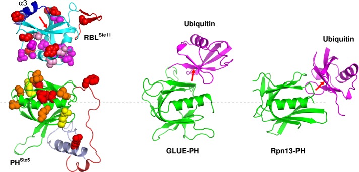 FIGURE 7: