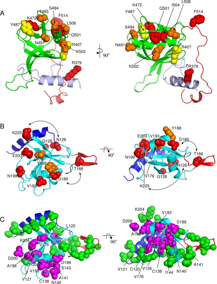 FIGURE 5: