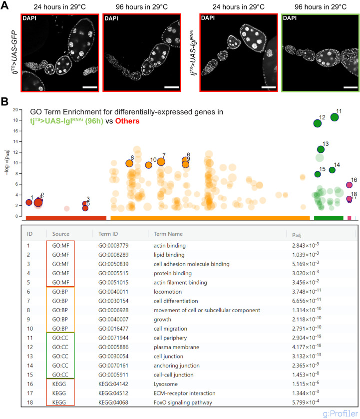 Figure 1—figure supplement 2.