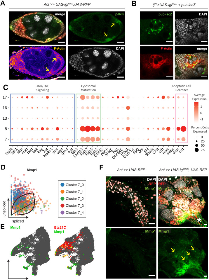 Figure 3—figure supplement 2.