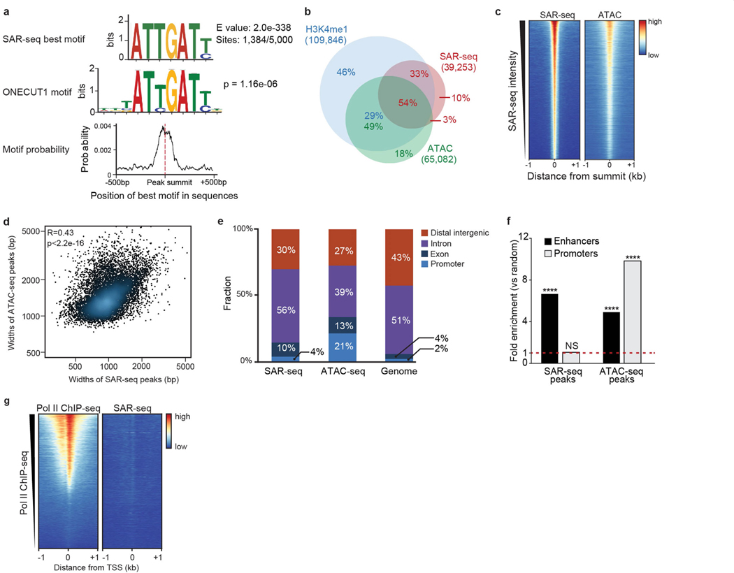 Extended Data Fig. 4 |