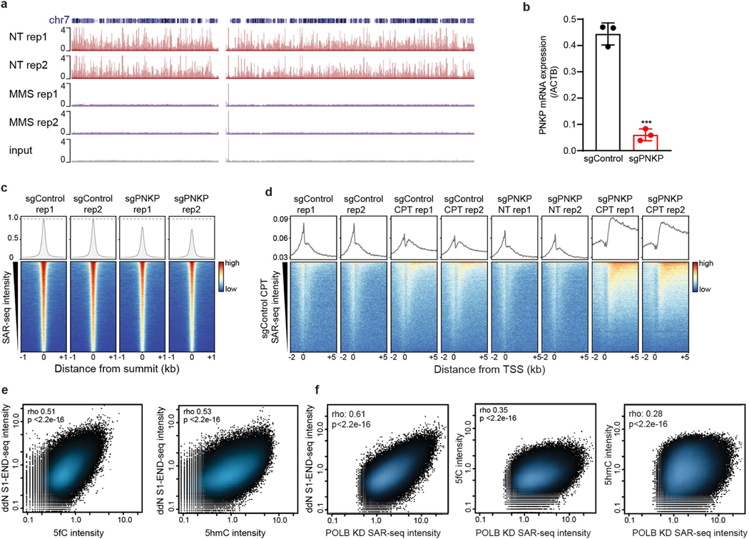 Extended Data Fig. 11 |