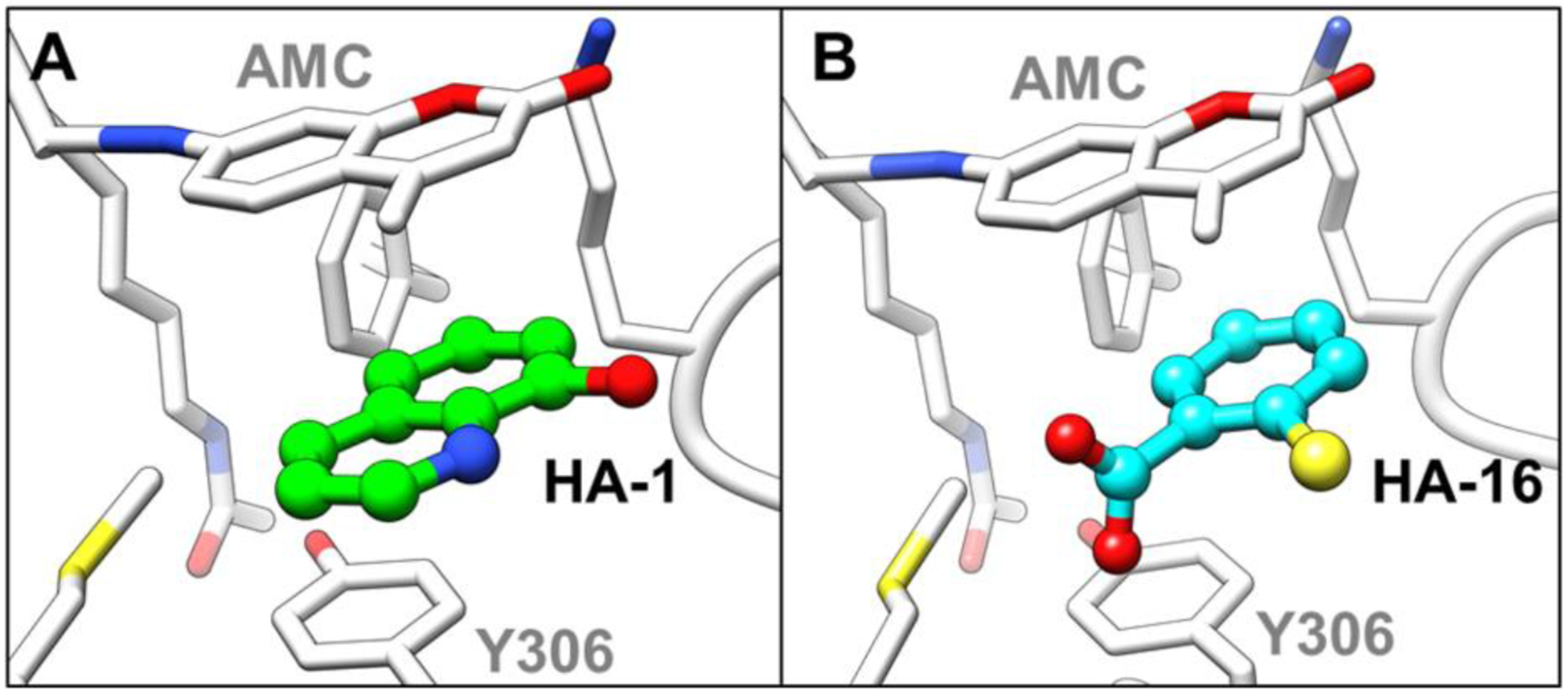 Fig. 8.