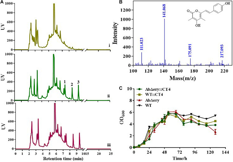 FIGURE 6