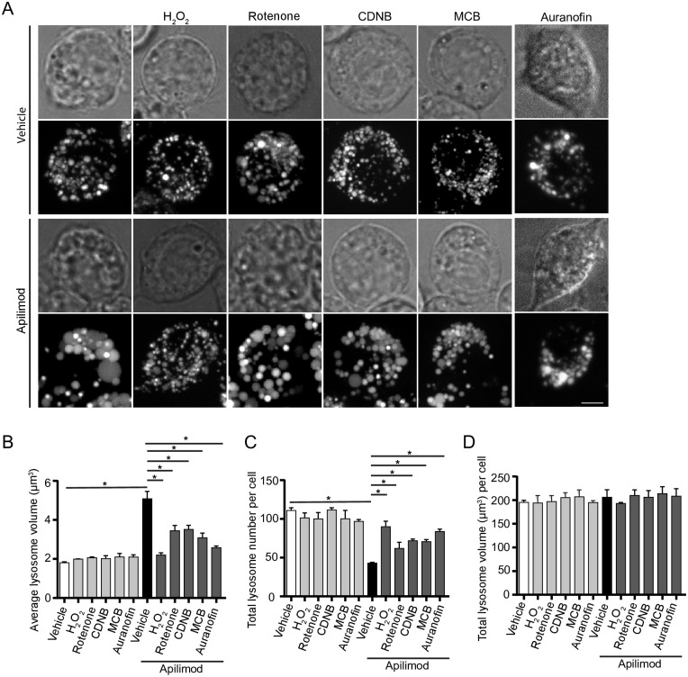 Fig 2