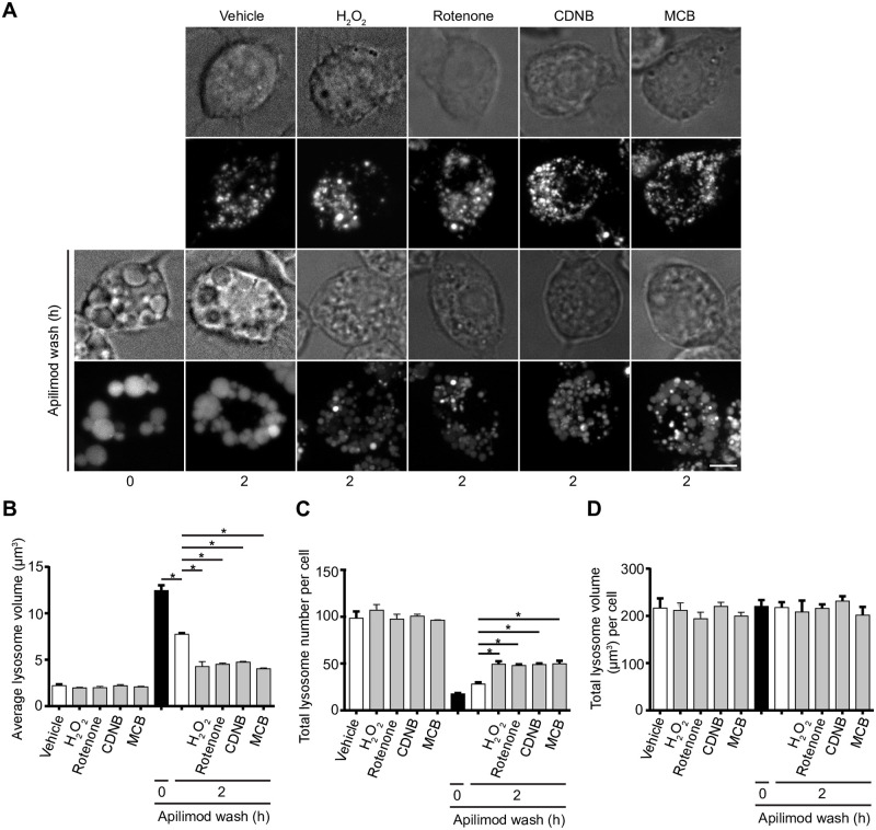 Fig 4