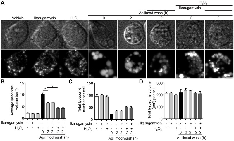 Fig 12