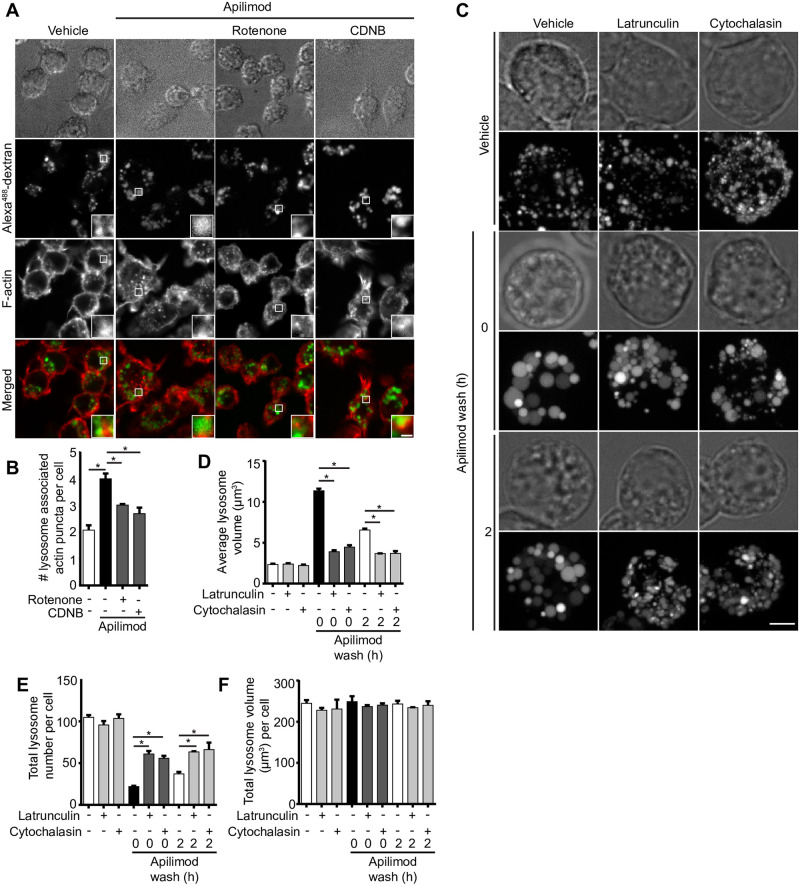 Fig 13