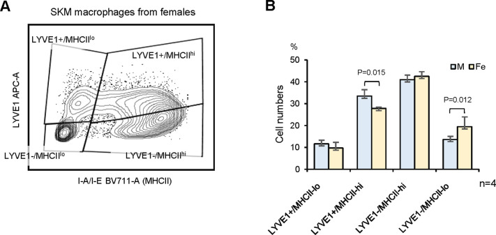 Figure 4—figure supplement 1.