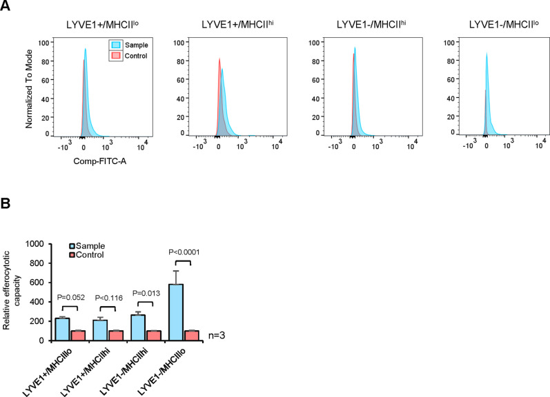 Figure 5—figure supplement 1.