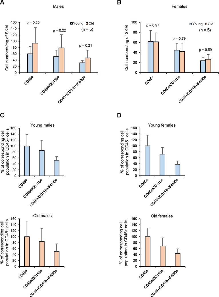 Figure 6—figure supplement 1.