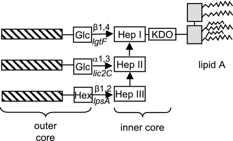 FIG. 5.