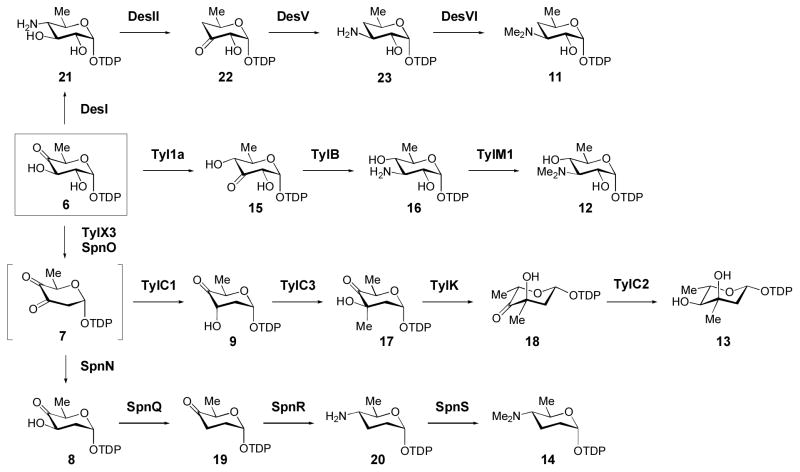 Scheme 4