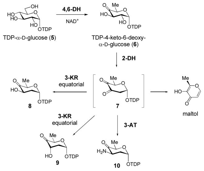 Scheme 3