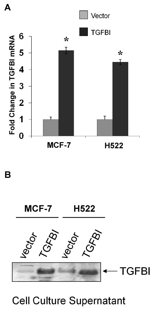 Fig.1