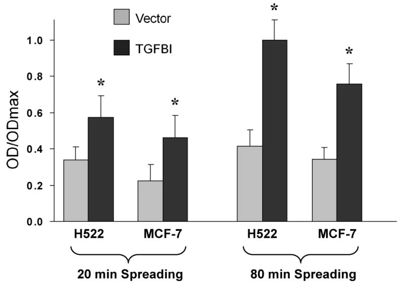 Fig.2