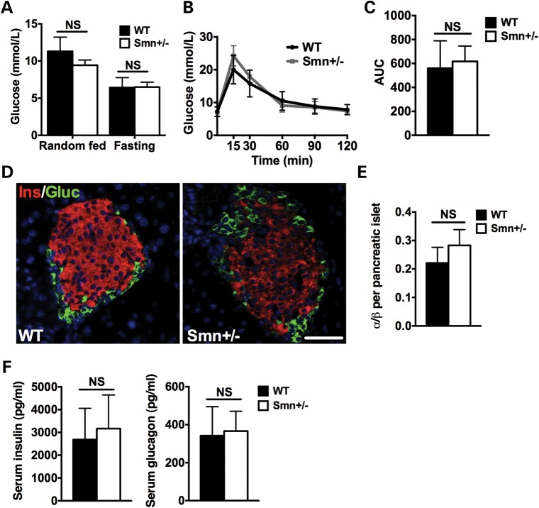 Figure 2.