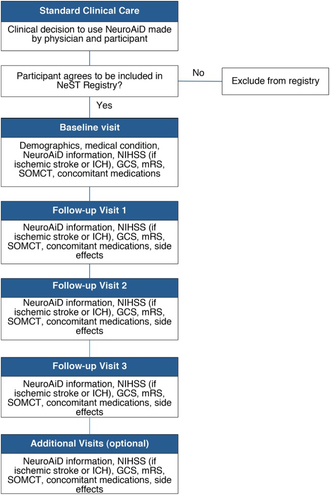 Figure 1