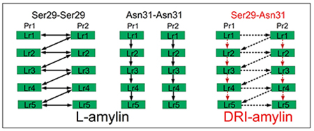 graphic file with name nihms-1612200-f0006.jpg