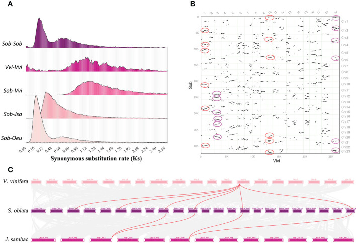 Figure 3