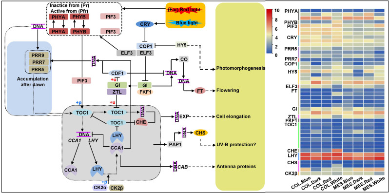 Figure 4