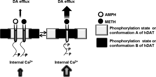 FIGURE 10.