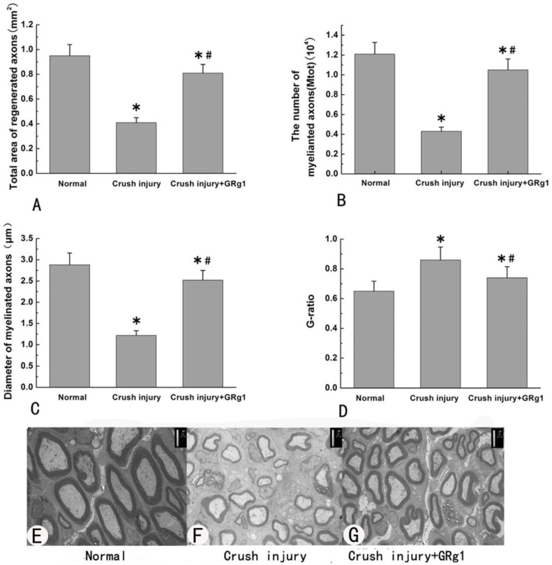 Fig 10