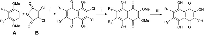 Scheme 1