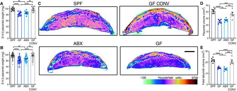 Fig. 1.