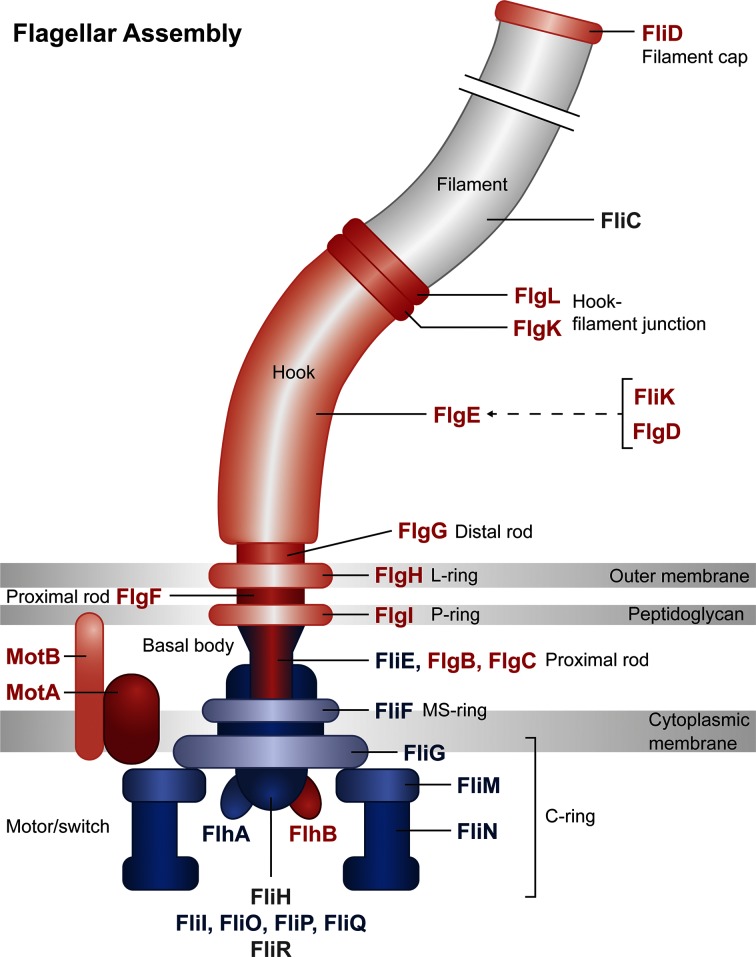 Fig. 4.