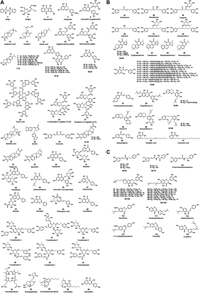 FIGURE 3