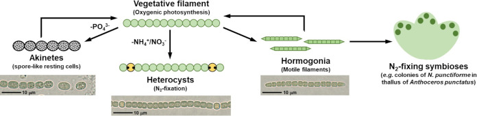 FIG 1