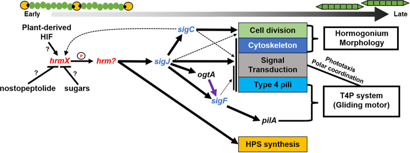 FIG 2