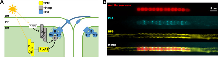 FIG 4