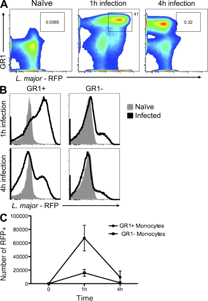 Figure 3.