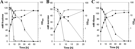 FIG. 1.