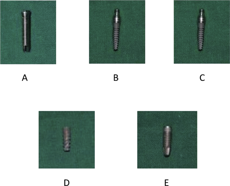 Fig. 1