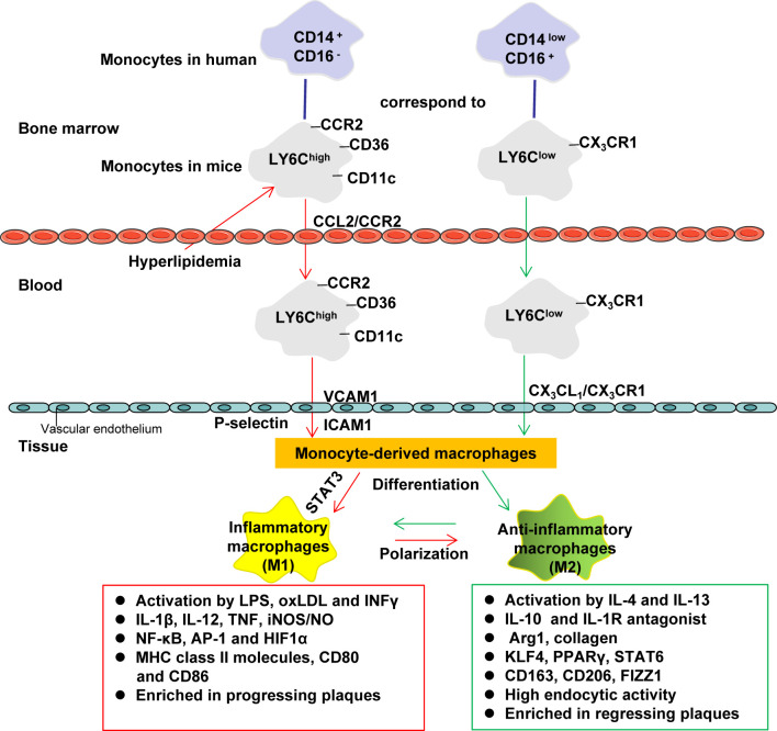 Figure 2