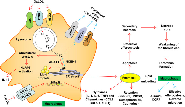 Figure 1