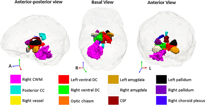 FIGURE 2