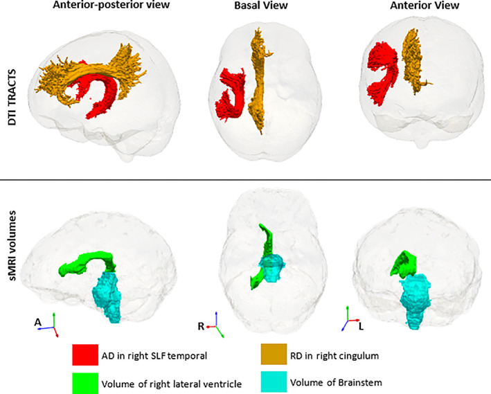 FIGURE 4|