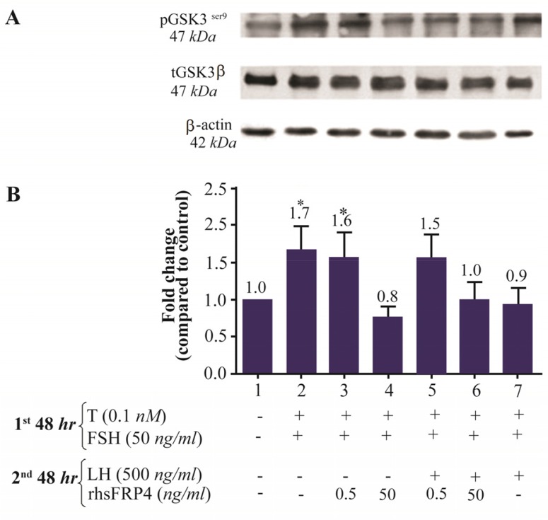 Figure 5.