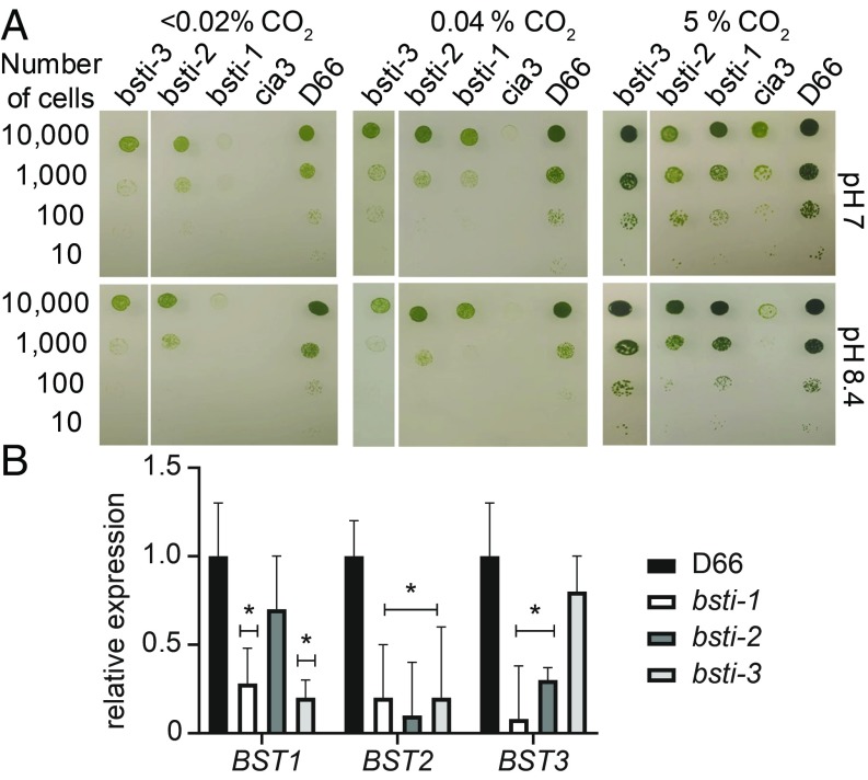 Fig. 4.