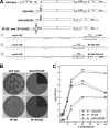 FIG. 6.