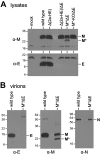 FIG. 7.