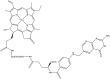 Fig. 10