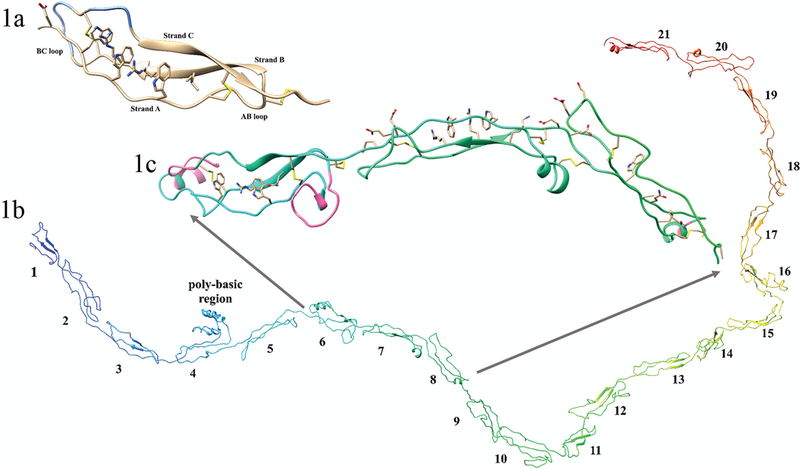 FIGURE 1