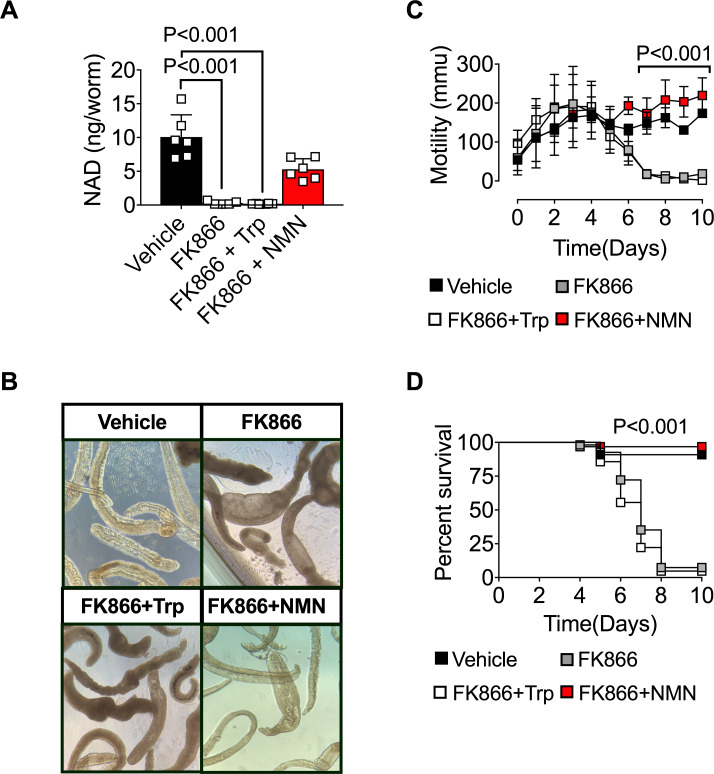 Fig 4