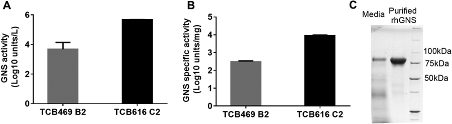 Figure 4.